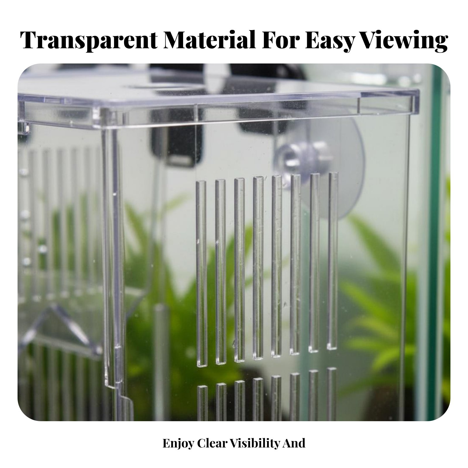กล่องเพาะพันธุ์ปลาในน้ำ กล่องแ - Aquarium Fishes บทวิจารณ์และราคา