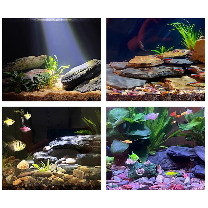 ชุดหินตกแต่งตู้ปลา 500/1000 กร - Aquarium Fish Saltwater บทวิจารณ์และราคา
