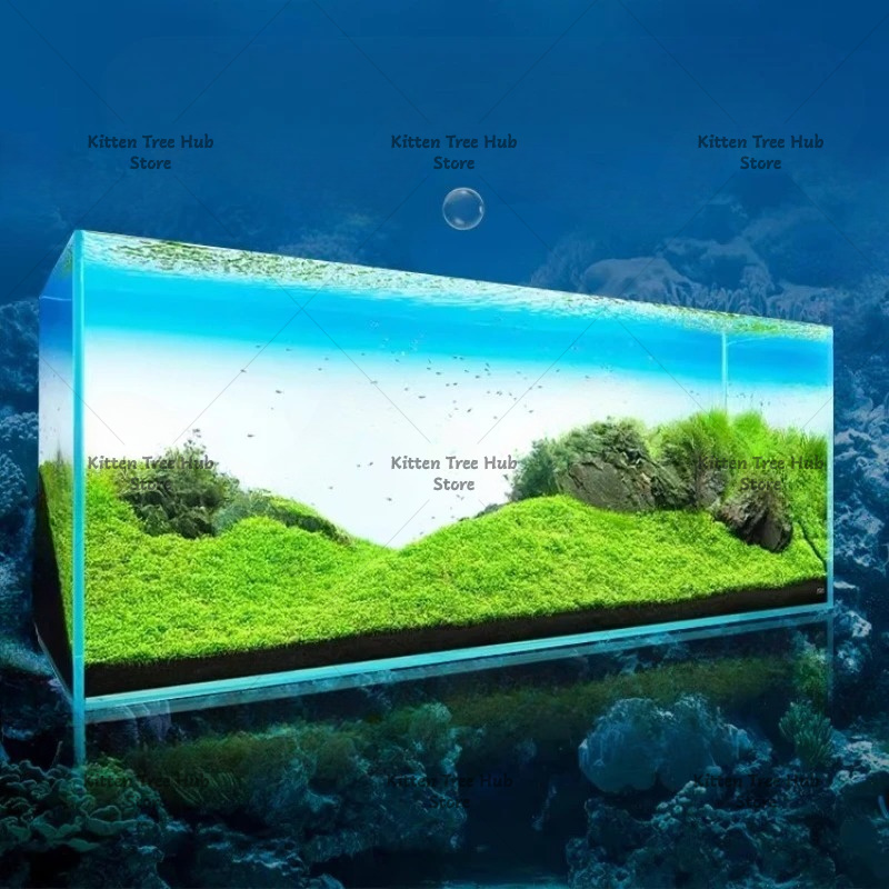 แผ่นฉากหลังตู้ปลา LED สำหรับตู - Aquarium Fish Rainbow บทวิจารณ์และราคา