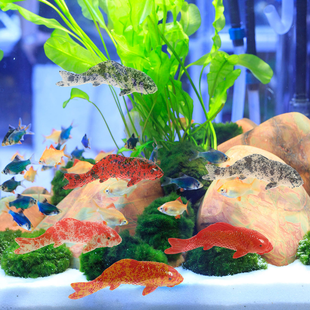 ปลาคาร์ฟจิ๋ว 10 ตัว ตกแต่งสีแด - Aquarium Fish Koi บทวิจารณ์และราคา