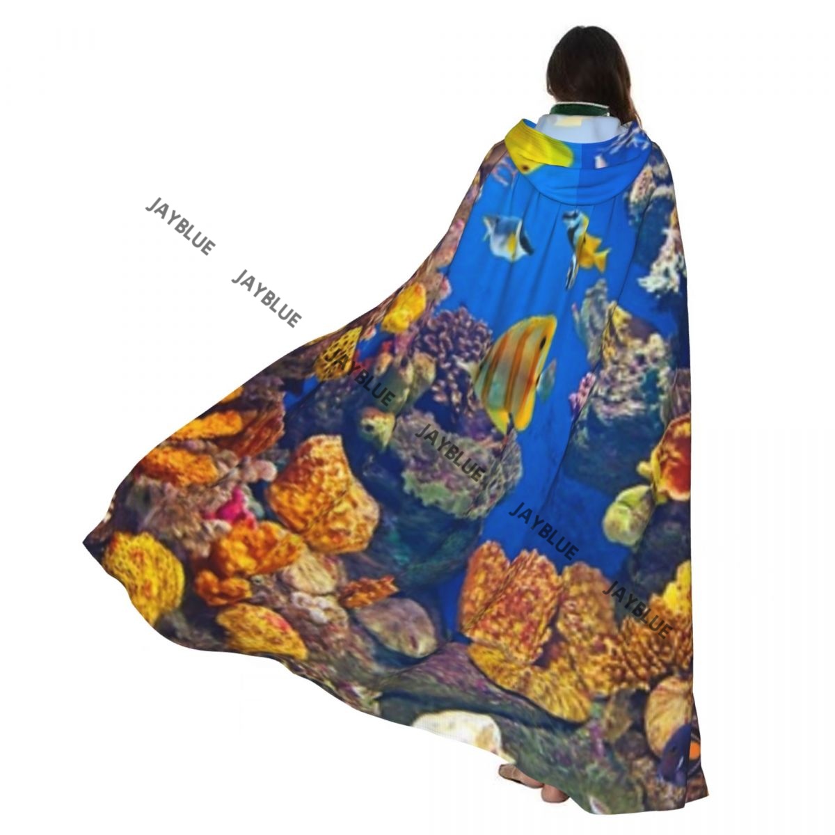 Unisex ผู้ใหญ่สีสัน Aquarium ส - Aquarium Queen Fish บทวิจารณ์และราคา