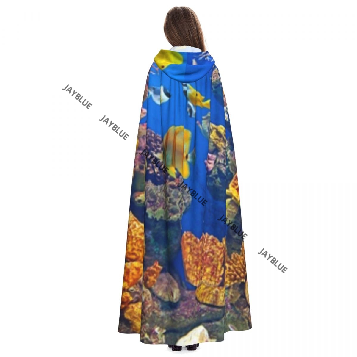 Unisex ผู้ใหญ่สีสัน Aquarium ส - Aquarium Queen Fish บทวิจารณ์และราคา