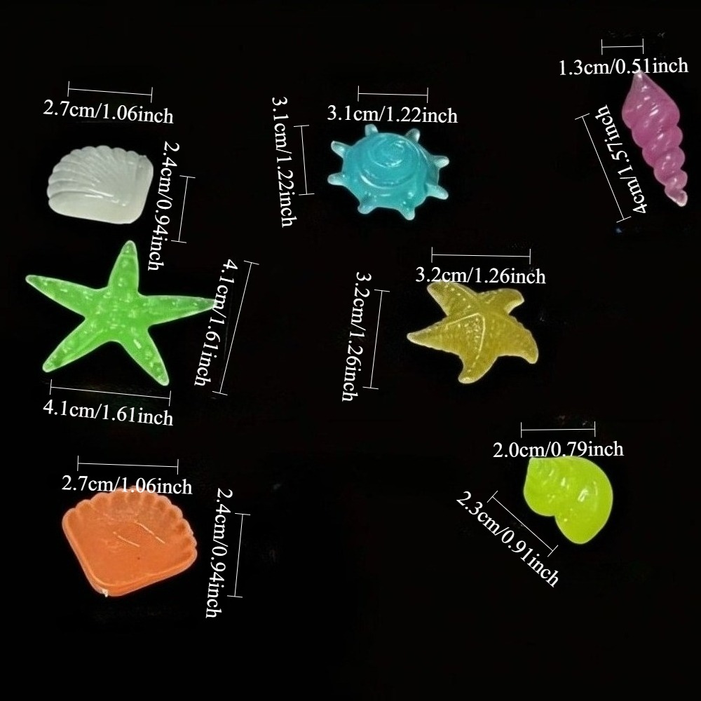 หินเรืองแสงในทะเล เปลือกหอยเรื - Aquarium Fish Quarantine บทวิจารณ์และราคา