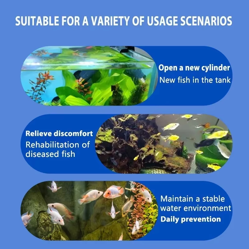 การรักษาโรคปลา SIKEZHAN และแบค - Aquarium Fish Saltwater บทวิจารณ์และราคา