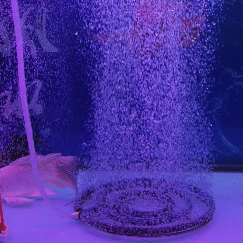 แผ่นดิสก์ออกซิเจนนาโนสแตนเลส 3 - Aquarium Fish Koi บทวิจารณ์และราคา