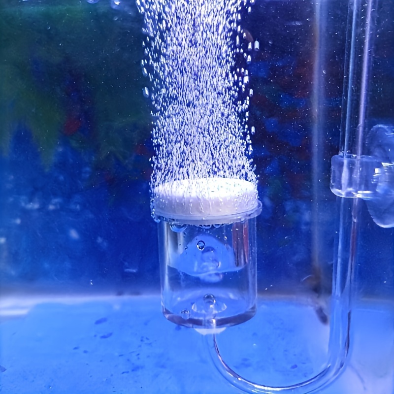 Aquarium Glass CO2 Atomizer Di - Aquarium Fish Quarantine บทวิจารณ์และราคา