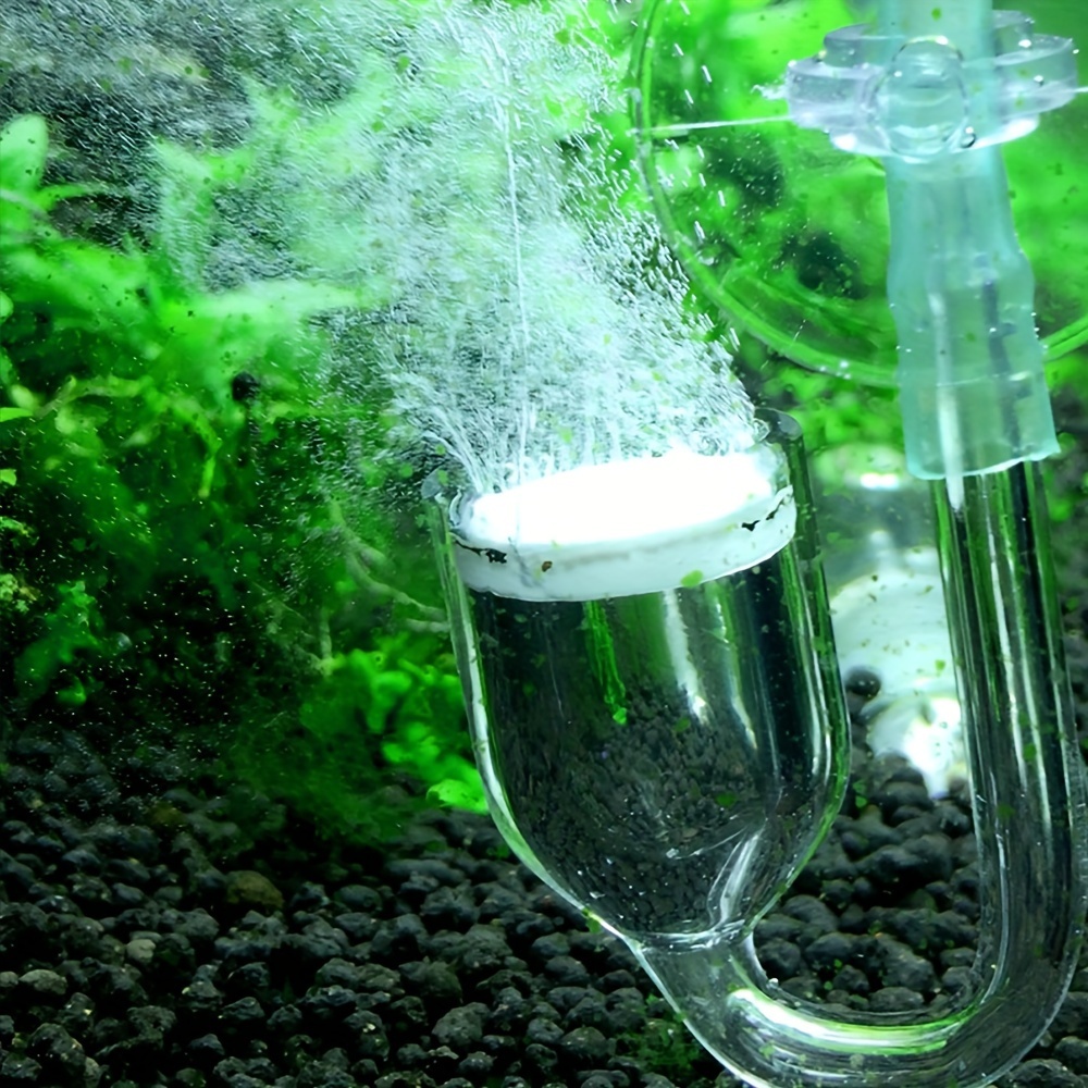 Aquarium Glass CO2 Atomizer Di - Aquarium Fish Quarantine บทวิจารณ์และราคา