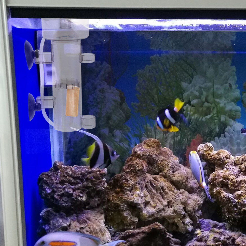 โปรตีนสกิมเมอร์ ตัวแยกอะคริลิก - Aquarium Fish Saltwater บทวิจารณ์และราคา