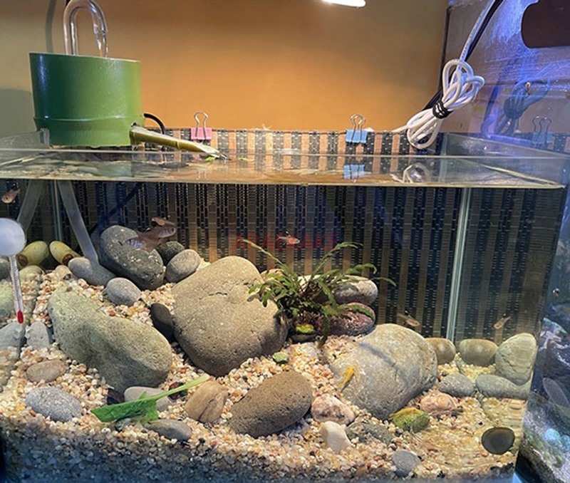 ตู้ปลาขนาดเล็กทรงกลม รวมวงจรบำ - Aquarium Fish Waste Collector บทวิจารณ์และราคา