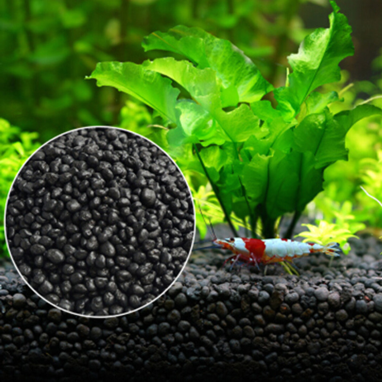 พิพิธภัณฑ์สัตว์น้ำเมล็ดพืชดิน  - Aquarium Fish Quarantine บทวิจารณ์และราคา