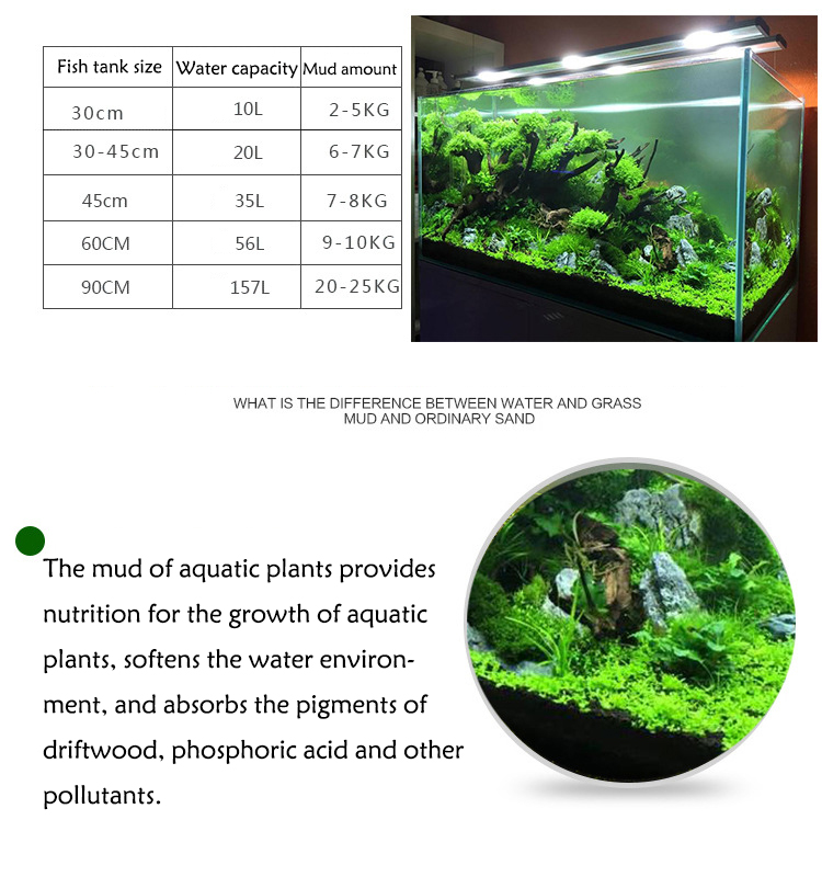 พิพิธภัณฑ์สัตว์น้ำเมล็ดพืชดิน  - Aquarium Fish Quarantine บทวิจารณ์และราคา