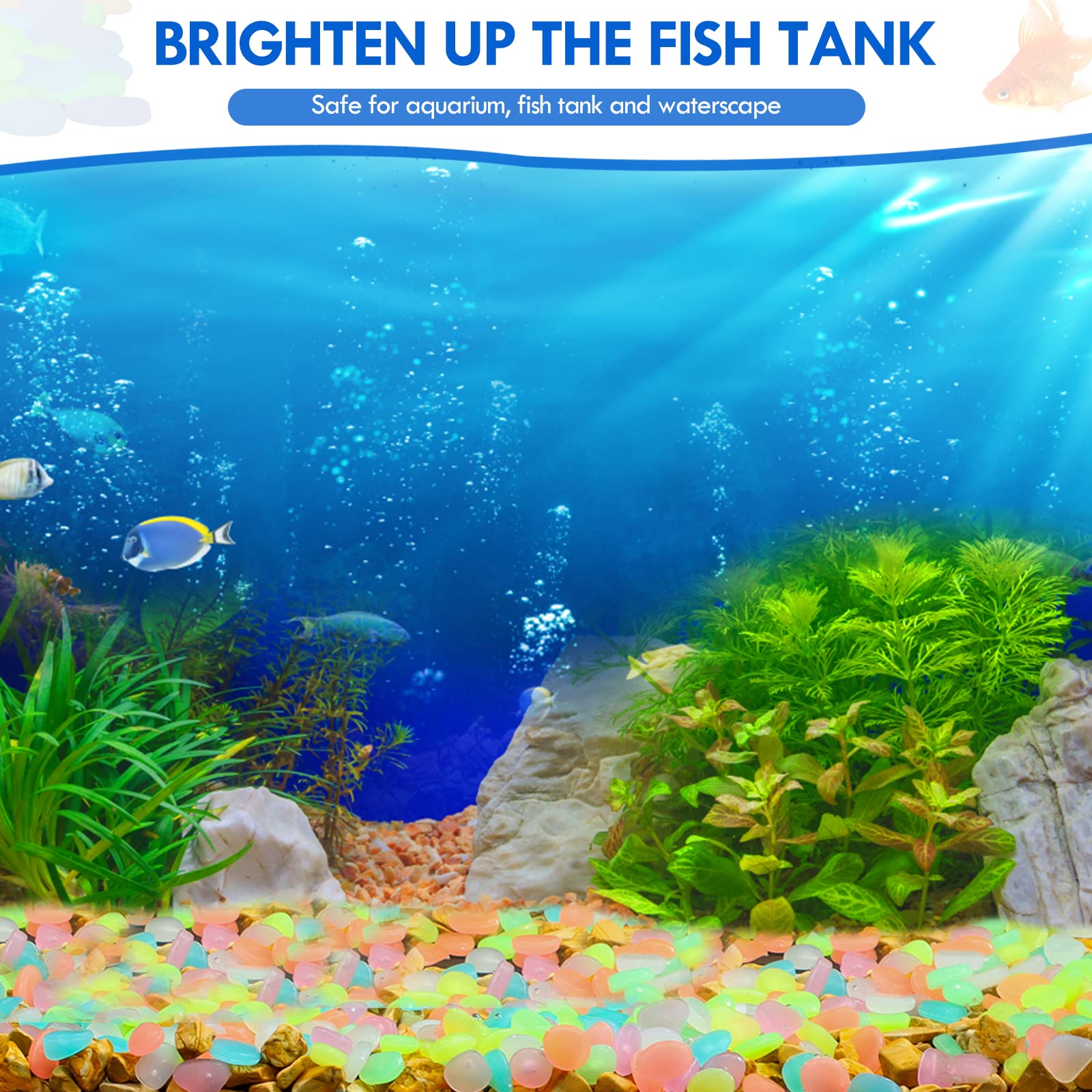 100 ชิ้น Glow in the Dark Gard - Aquarium Fish Saltwater บทวิจารณ์และราคา