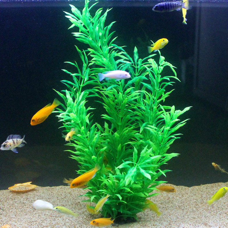 50 ซม.ถังปลาประดิษฐ์พืชหายากAq - Aquarium Fish Saltwater บทวิจารณ์และราคา