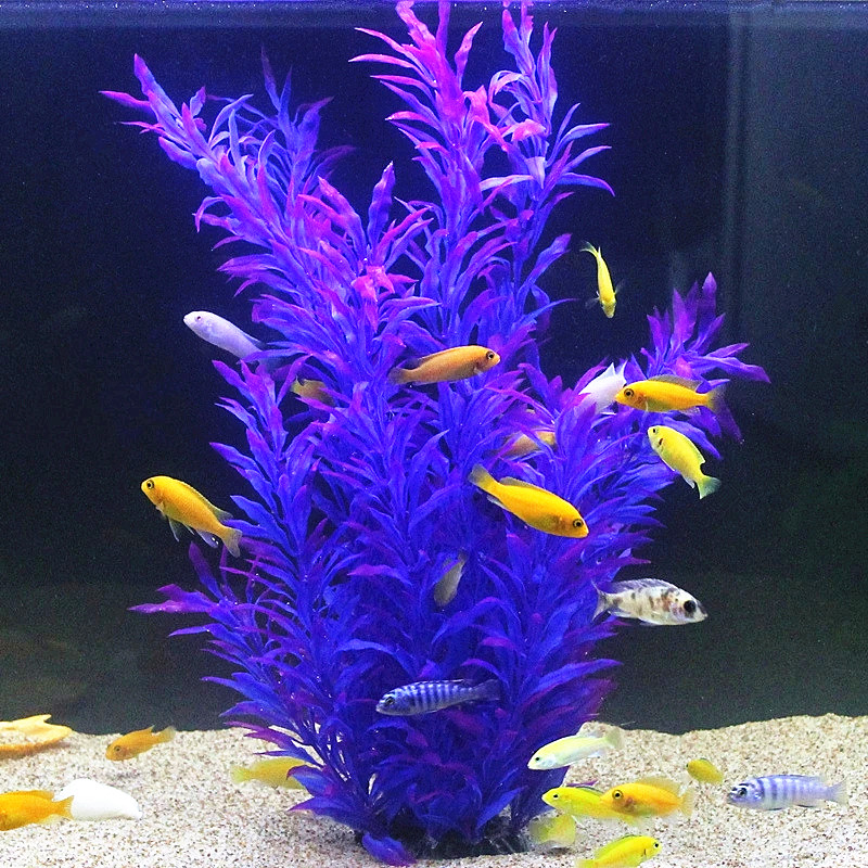 50 ซม.ถังปลาประดิษฐ์พืชหายากAq - Aquarium Fish Saltwater บทวิจารณ์และราคา