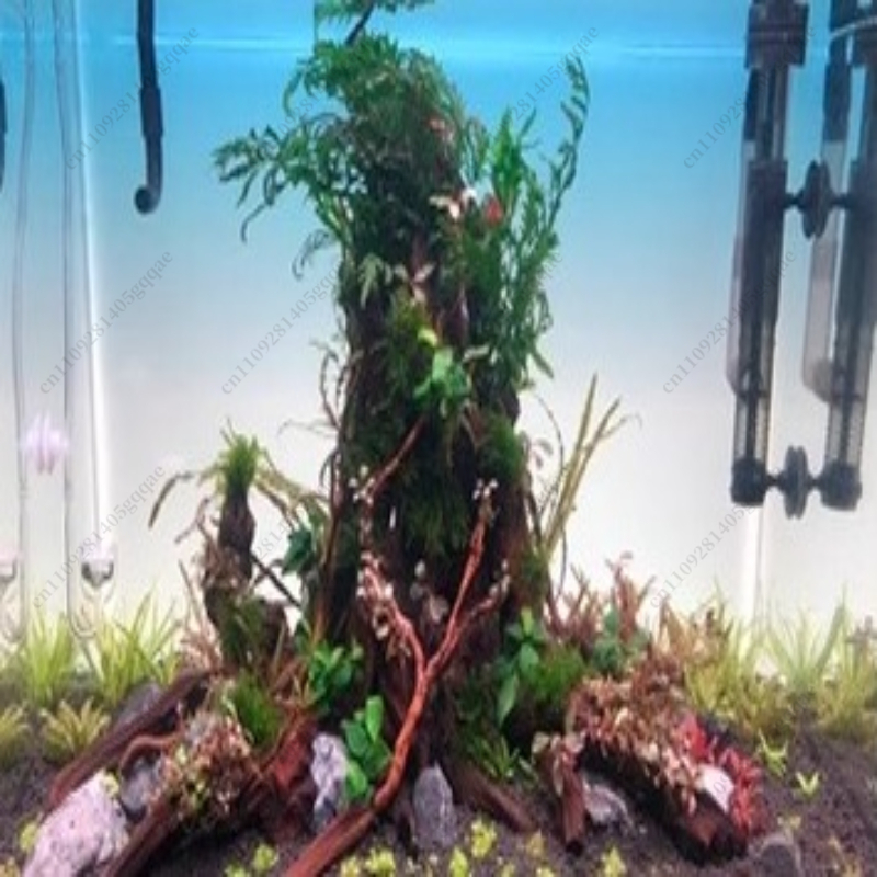 แผ่นฉากหลังตู้ปลา LED สำหรับตู - Aquarium Fish Rainbow บทวิจารณ์และราคา