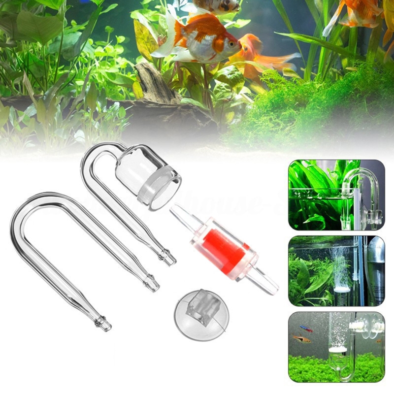DIY ชุดกระจาย CO2 4ชิ้นสำหรับต - Aquarium Fish Quarantine บทวิจารณ์และราคา