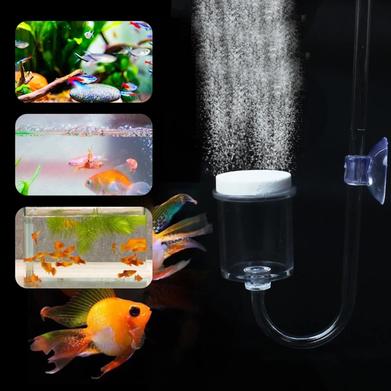 DIY ชุดกระจาย CO2 4ชิ้นสำหรับต - Aquarium Fish Quarantine บทวิจารณ์และราคา